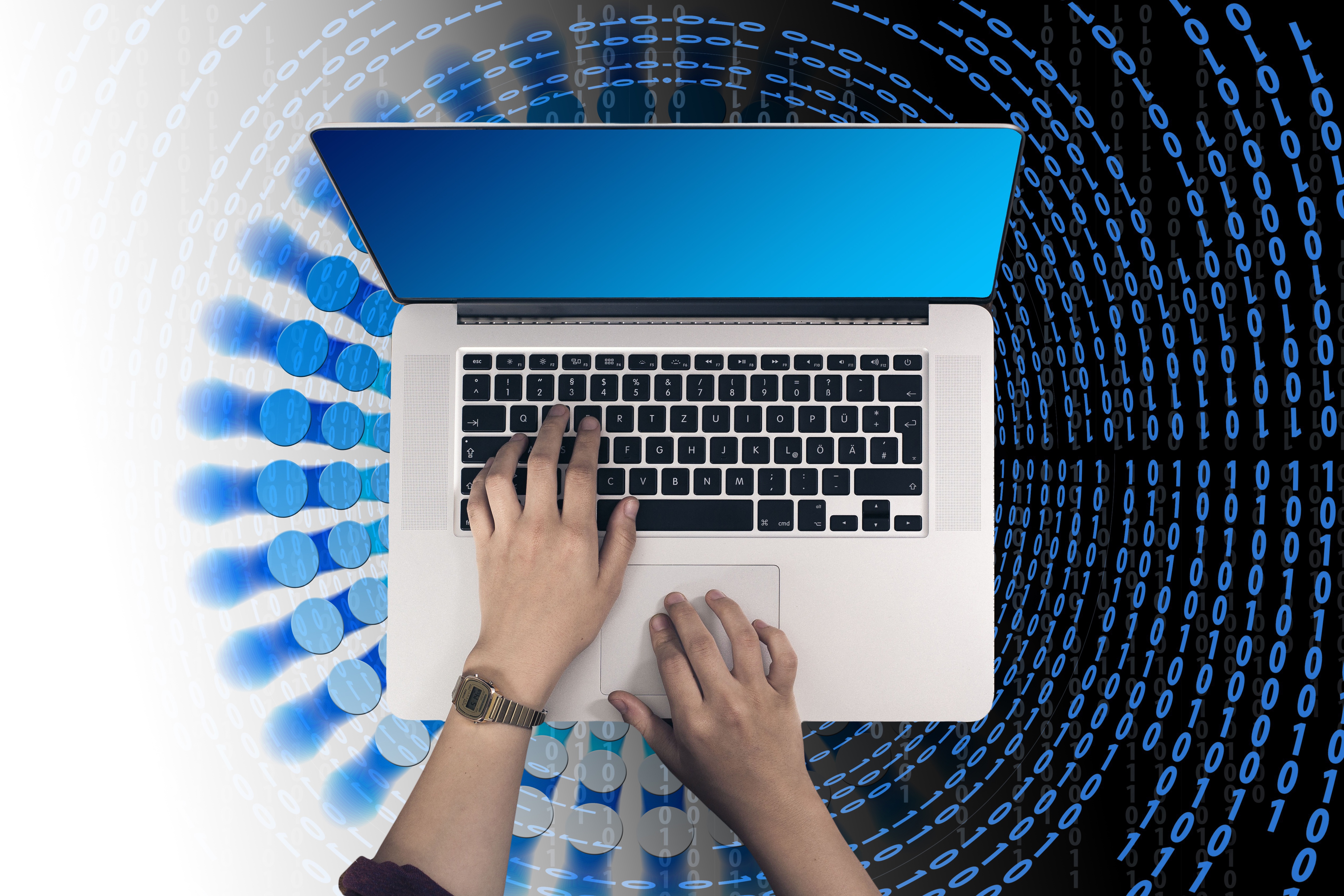 프로그래밍 언어 배우기