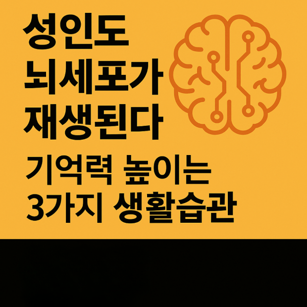 alt="주황색 배경에 뇌 아이콘과 함께 '성인도 뇌세포가 재생된다 기억력 높이는 3가지 생활습관' 텍스트가 표시된 건강 정보 썸네일"