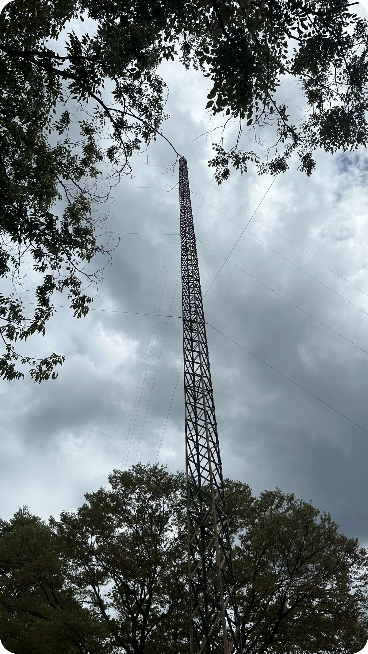 용문사-은행나무-피뢰-철탑