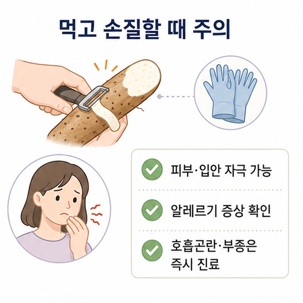 마를 손질하거나 먹을 때 나타날 수 있는 피부·입안 자극과 알레르기 주의사항을 정리한 이미지