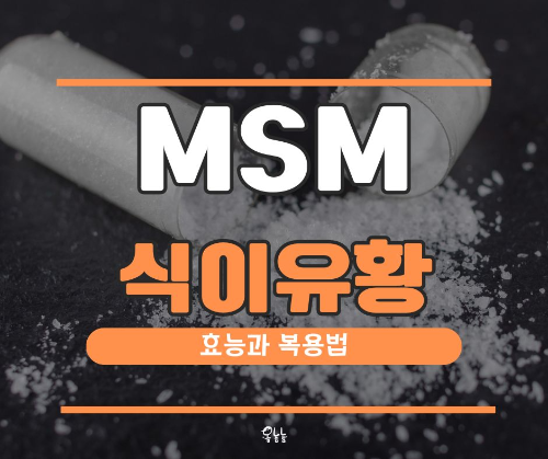 MSM 효능