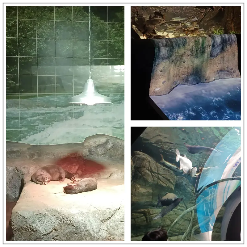 반디랜드-곤충박물관-아쿠아관