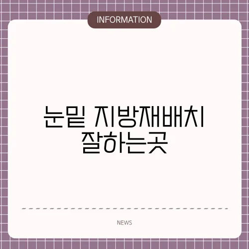 눈밑 지방재배치 잘하는곳