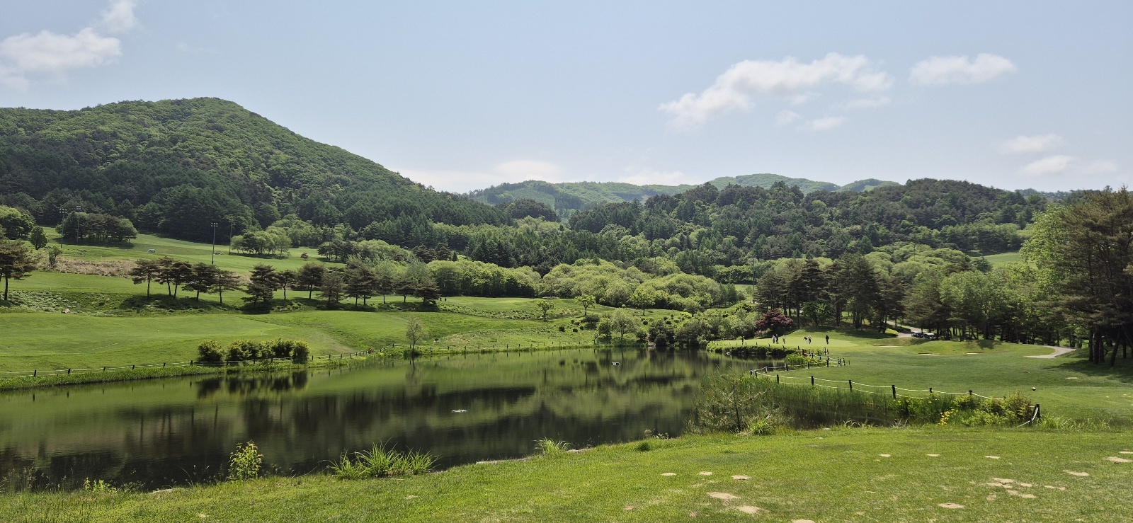 웰리힐리 페에웨이