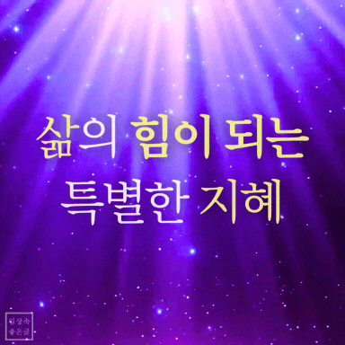 보라색 빛 배경에 &lsquo;삶의 힘이 되는 특별한 지혜&rsquo;라는 문구가 쓰인 감동적인 글귀 이미지