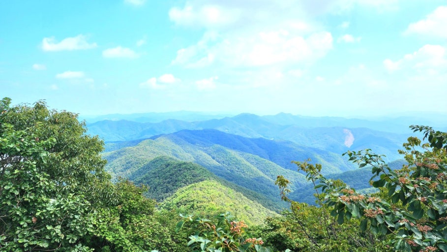 칠갑산