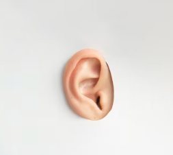 귀에서 삐소리가 나는 이유 이명 원인 대처법