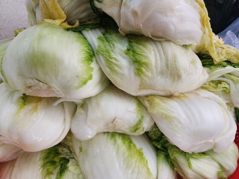 김장 김치 맛있는 양념 20포기