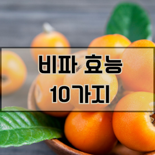비파 효능