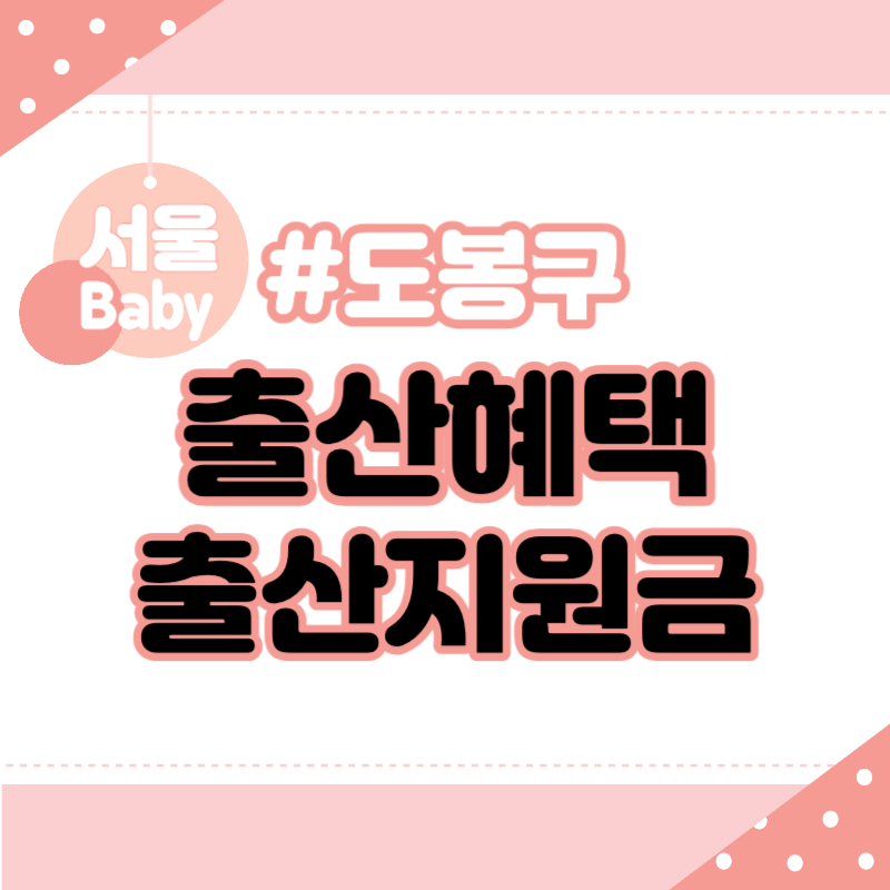 서울 도봉구 출산혜택 출산지원금