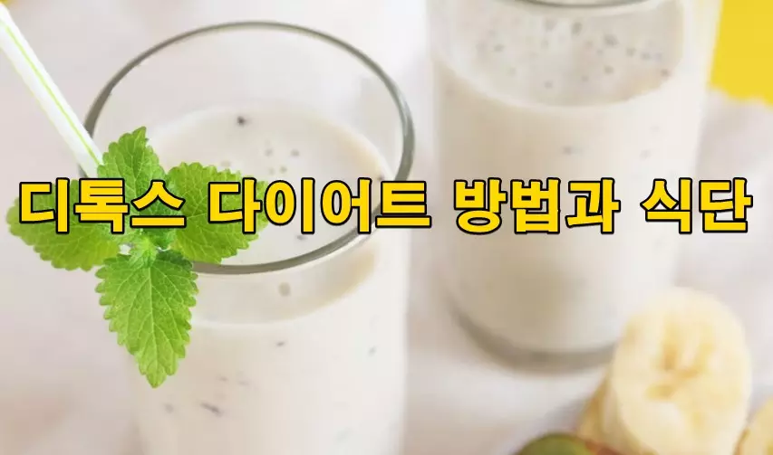 디톡스 다이어트 방법과 식단