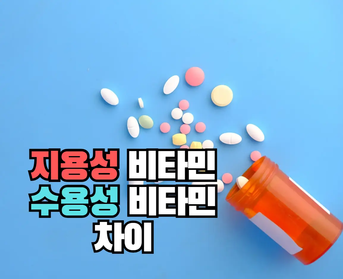 지용성비타민-수용성비타민