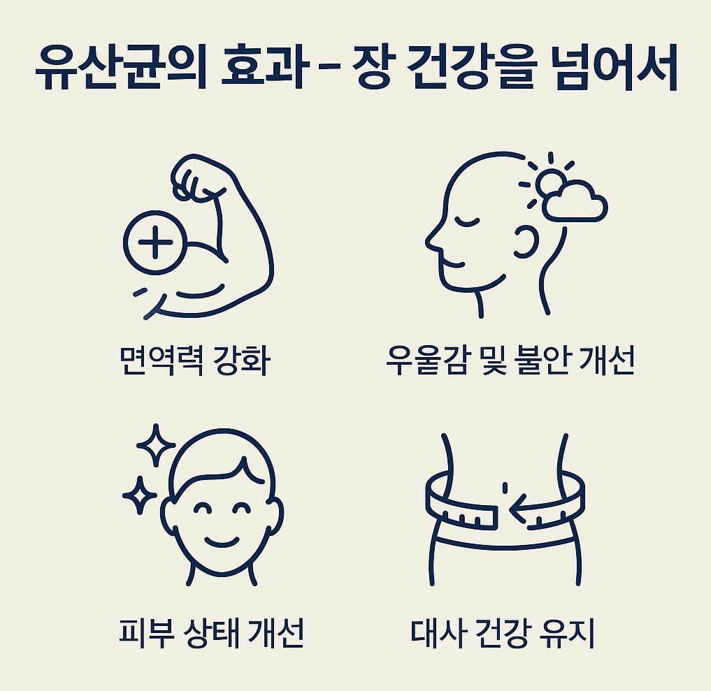 유산균이 장 건강 외에 면역, 피부, 정신 건강에 미치는 영향을 도식화한 이미지