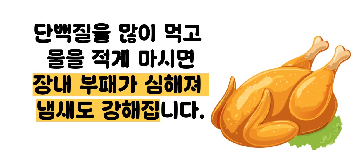 방귀 냄새가 심한 이유