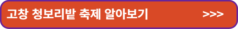고창-청보리밭-축제-알아보기-배너