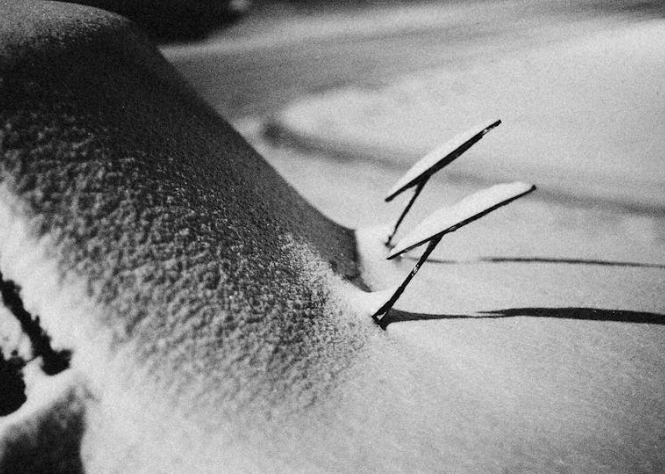 와이퍼 교체주기