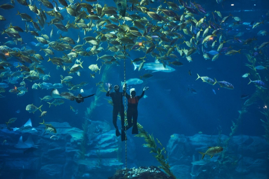 아쿠아플라넷 제주