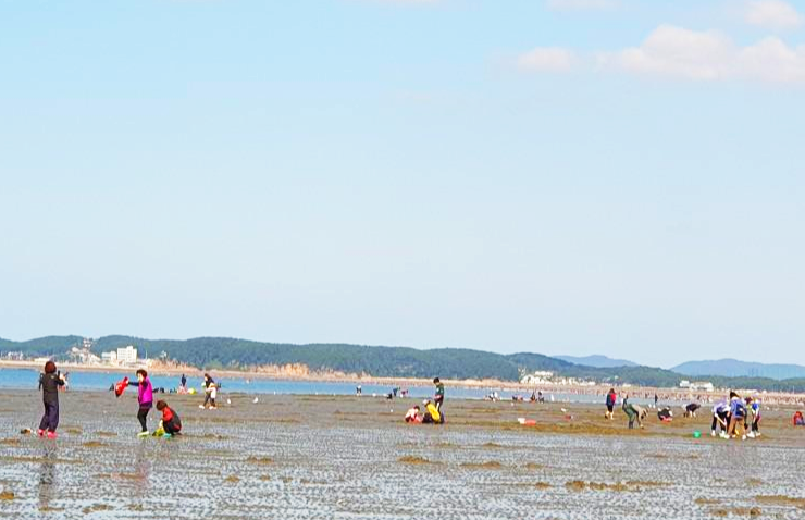 태안반도 추천지