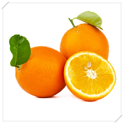 식도염 좋은 음식