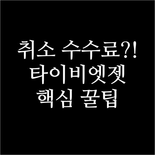 타이비엣젯 취소 수수료, 요금제와 시..