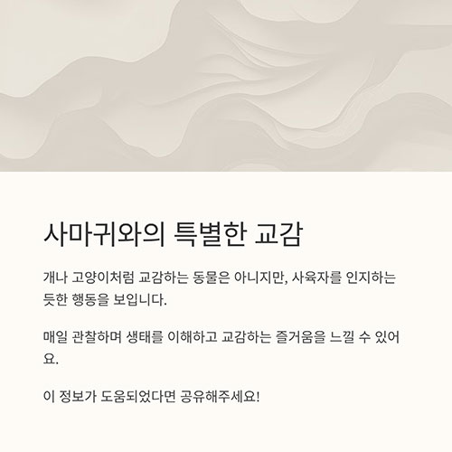 사마귀와의 교감, 가능할까?