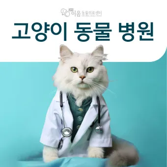 고양이 병원 추천, 고양이 전문 동물 병원 추천_29