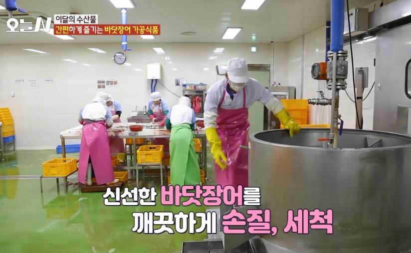 오늘N 이달의 수산물 통영 자연산 바닷장어 구입방법 근해통발수협협동조합 오늘N 2502회