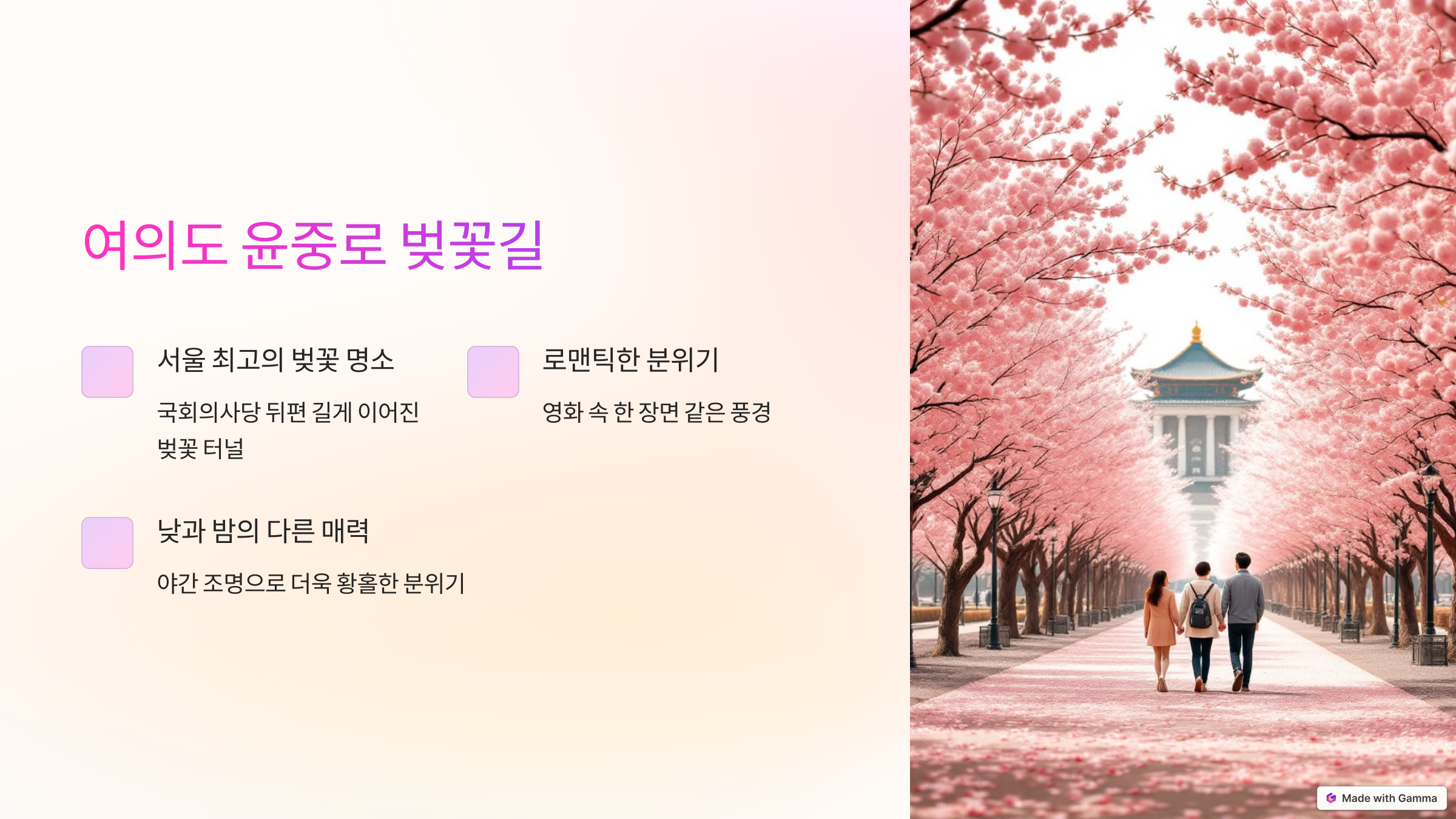 여의도 윤중로 벚꽃길