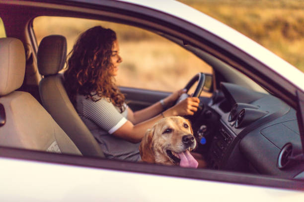 법인 리스의 절세 효과