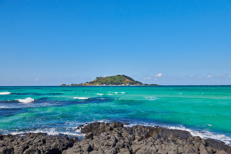 제주도 2박 3일 여행 코스 총정리 (렌트카, 숙소, 맛집까지)