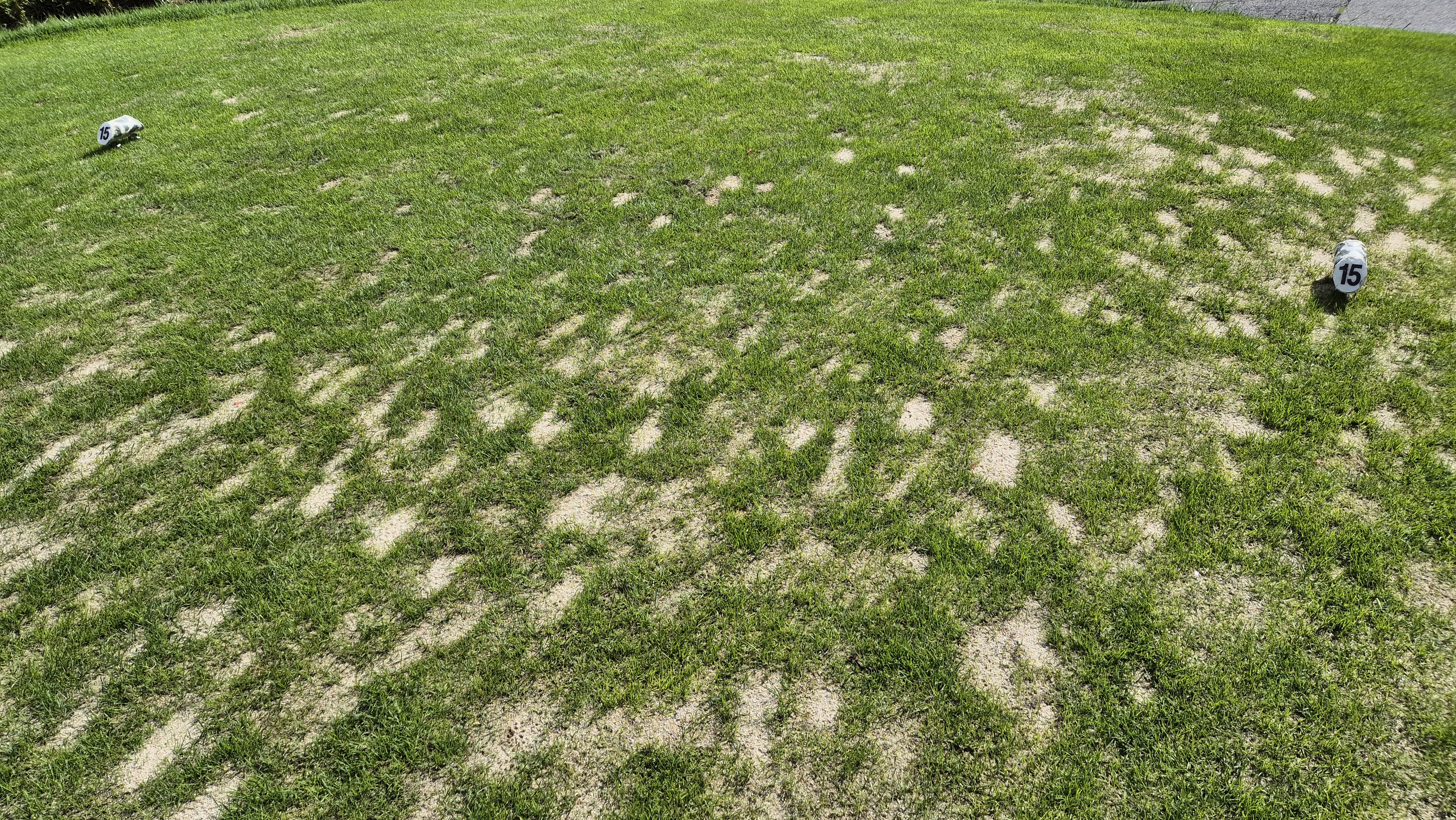 세일cc 들길-산길 코스 라운드 후기