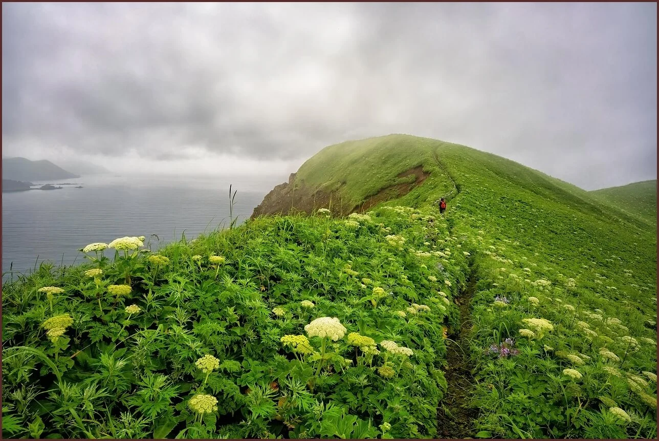 저축은행 정기예금 금리비교