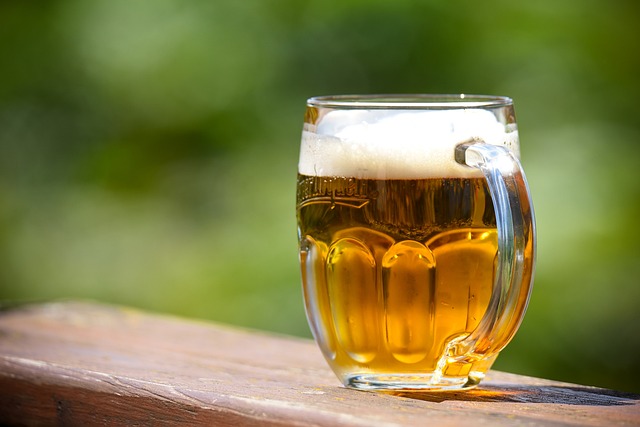 병맥주&amp;#44; 캔맥주&amp;#44; 생맥주 맛 차이 원인