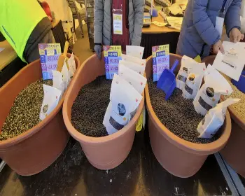 파주 장단콩축제_28