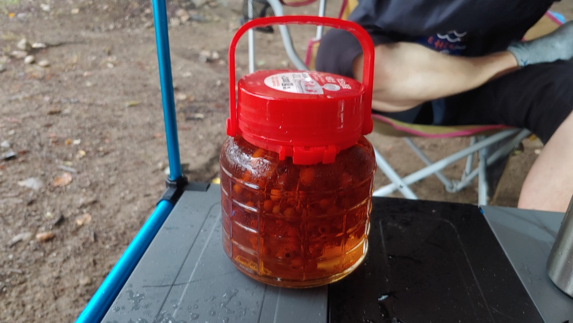 마가목 열매주 병