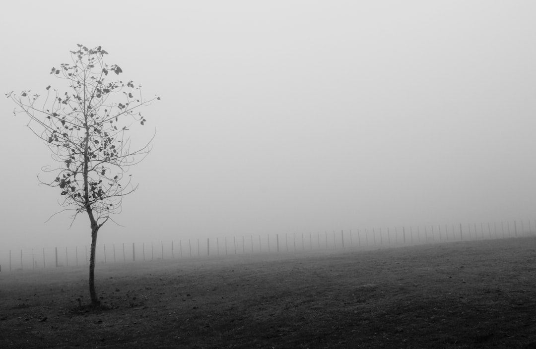 Solitude