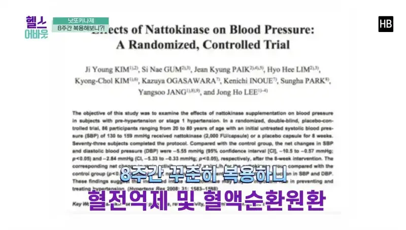 혈전용해제 나토키나제