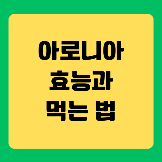아로니아 먹는 법(아로니아 효능, 아로니아 분말 복용법)