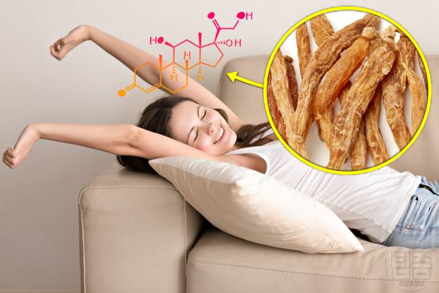 홍삼 효능 스트레스 홍삼 먹으면 안되는 사람 홍삼부작용