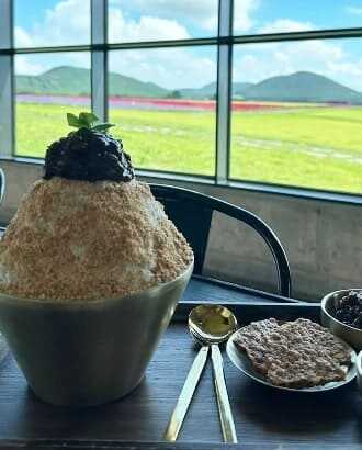 2025 제주 보롬왓 튤립축제