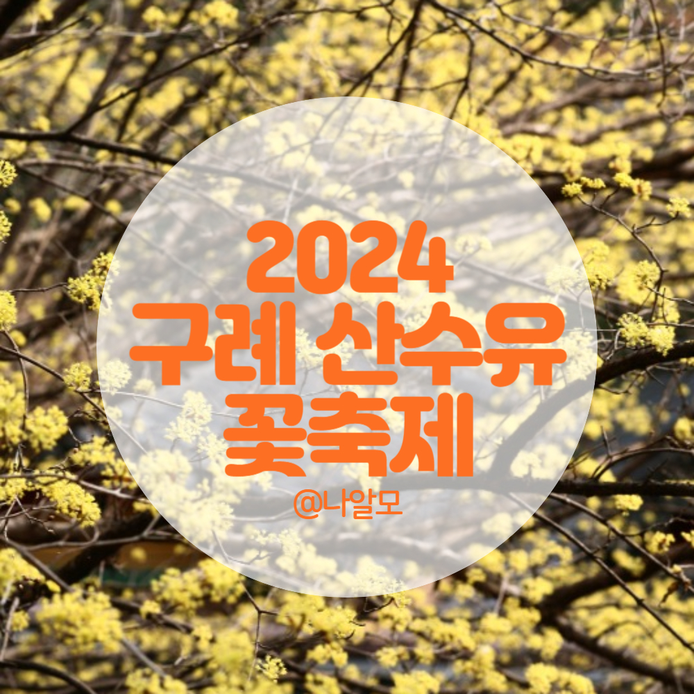 2024 구례 산수유꽃축제