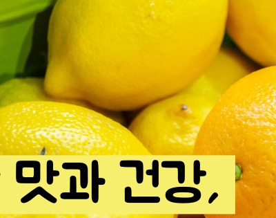레몬즙 효능
