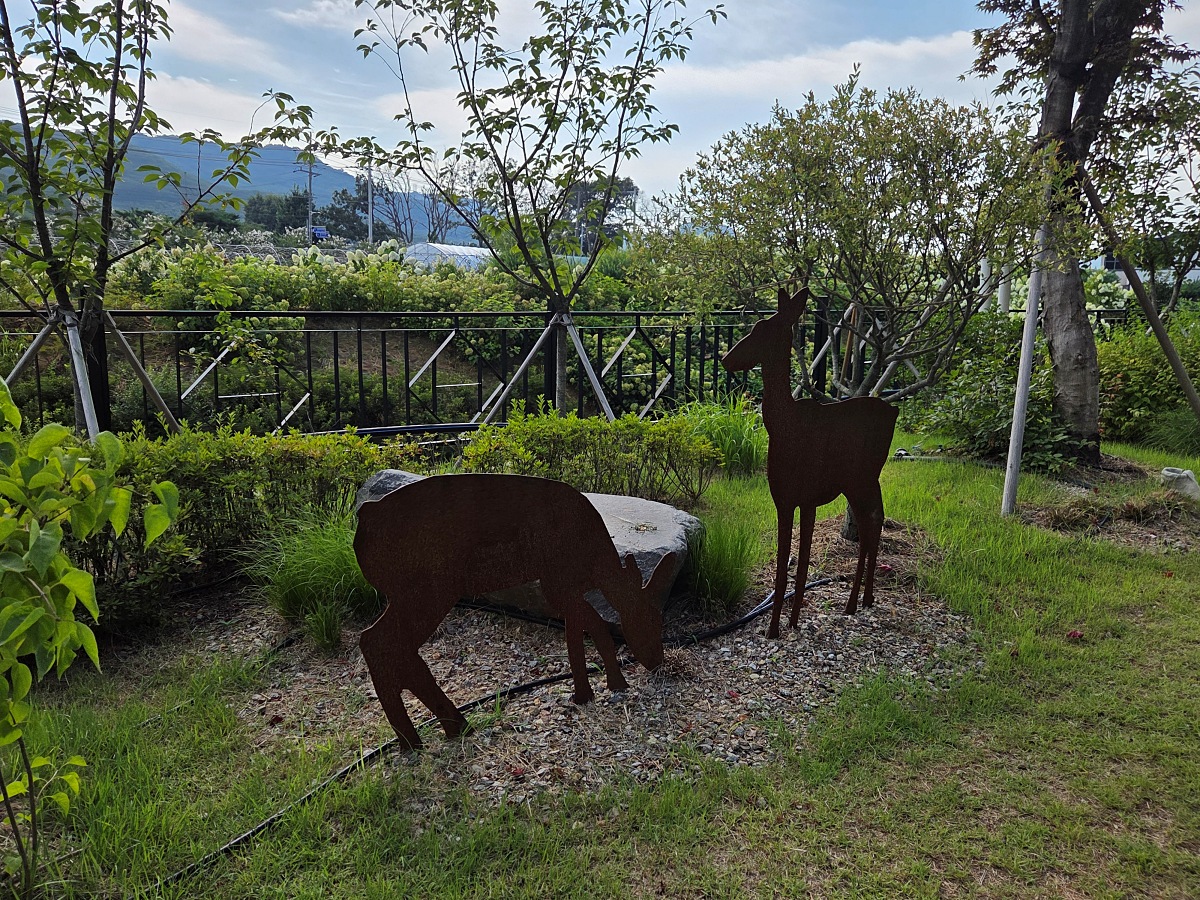 강화도 대형카페 두운리, 초록의 목수국 정원까지 즐기는 강화도 갈만한곳