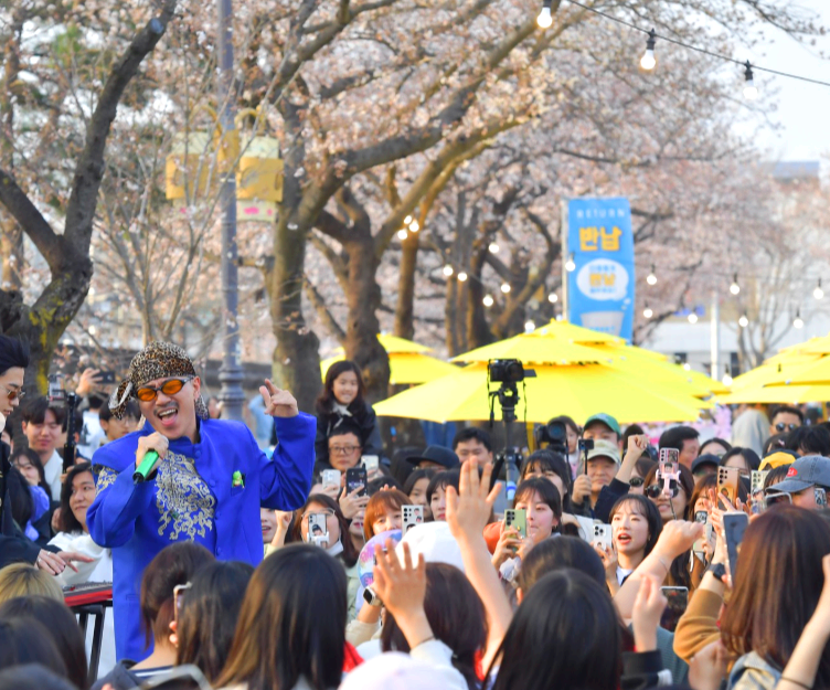 경주 대릉원 돌담길 벚꽃축제