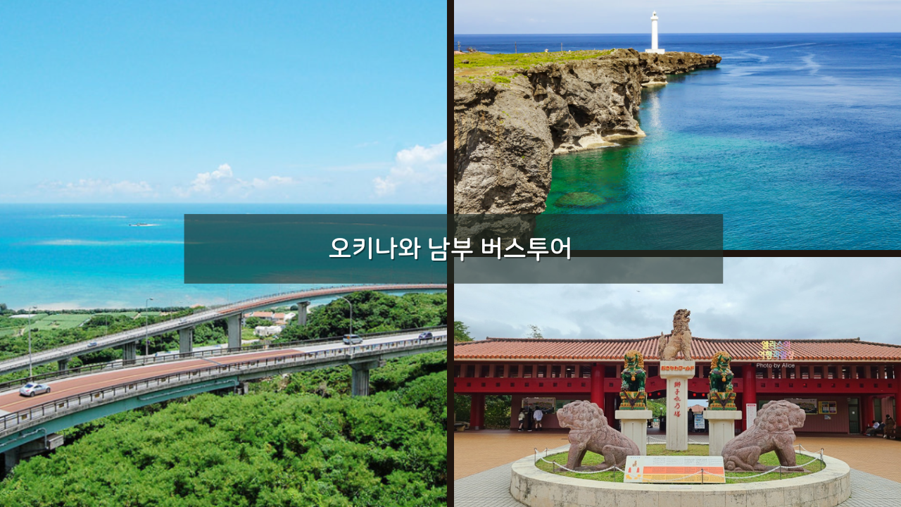 오키나와 남부 버스투어 솔직후기 가격 시간 오키나와 월드