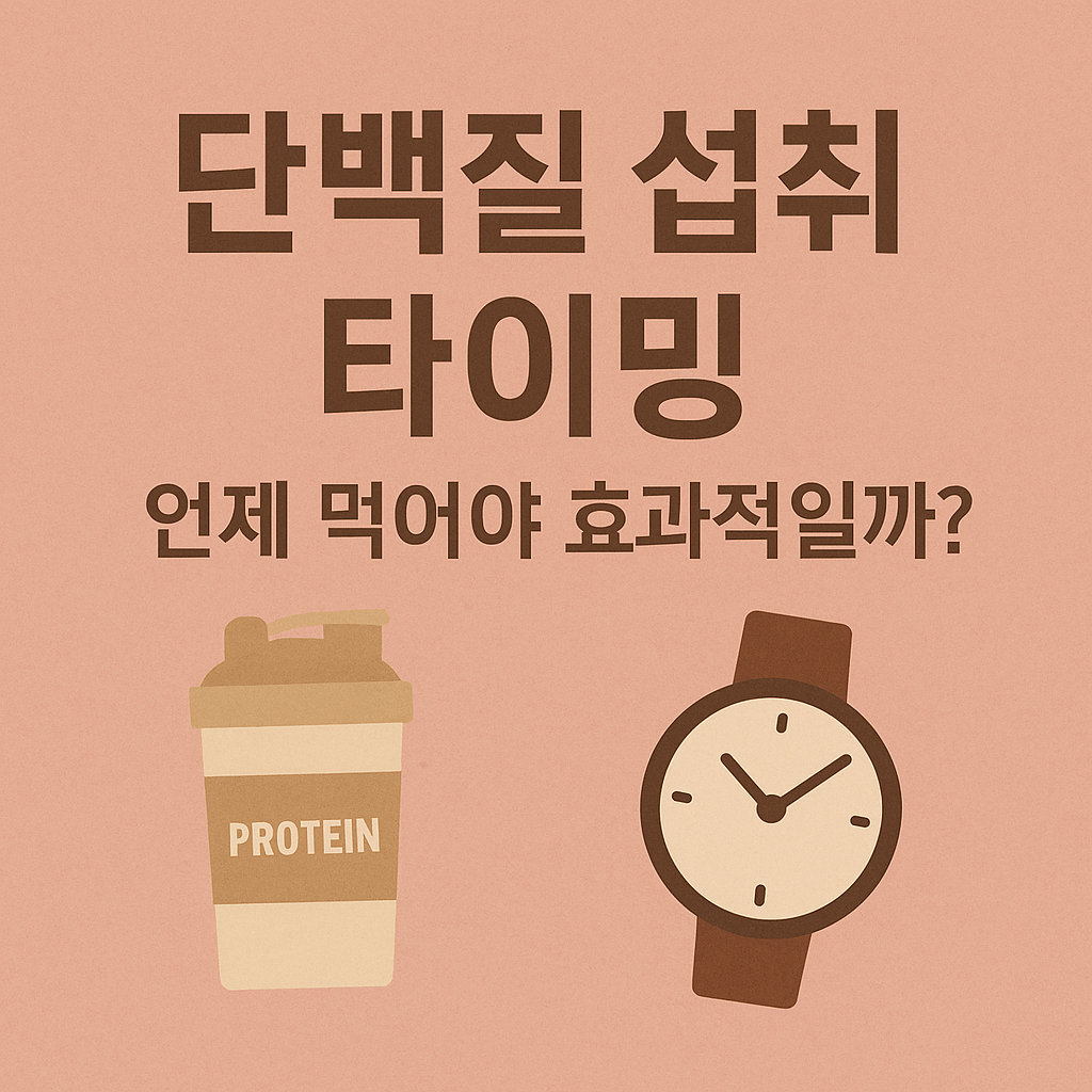 단백질 섭취 타이밍 - 사진