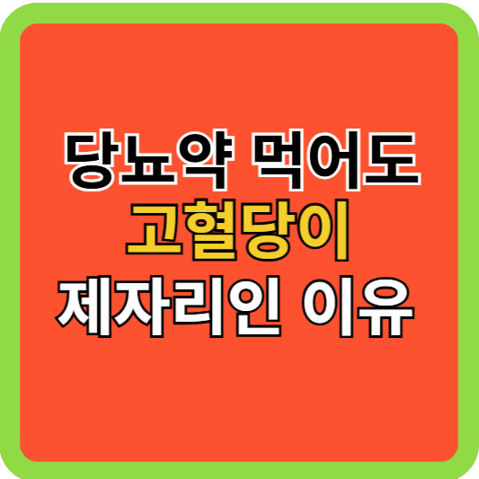 당뇨약 먹어도 고혈당이 제자리인 이유!