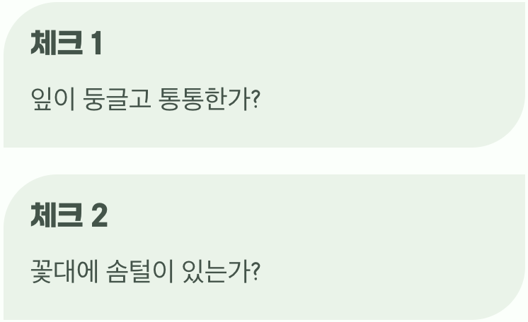 이제 당신도 봄 야생화 전문가