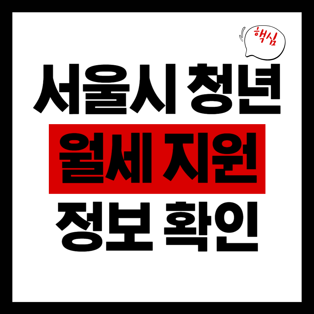 2025년 서울시 청년 월세 지원 확대 운영, 최대 240만 원 절약!