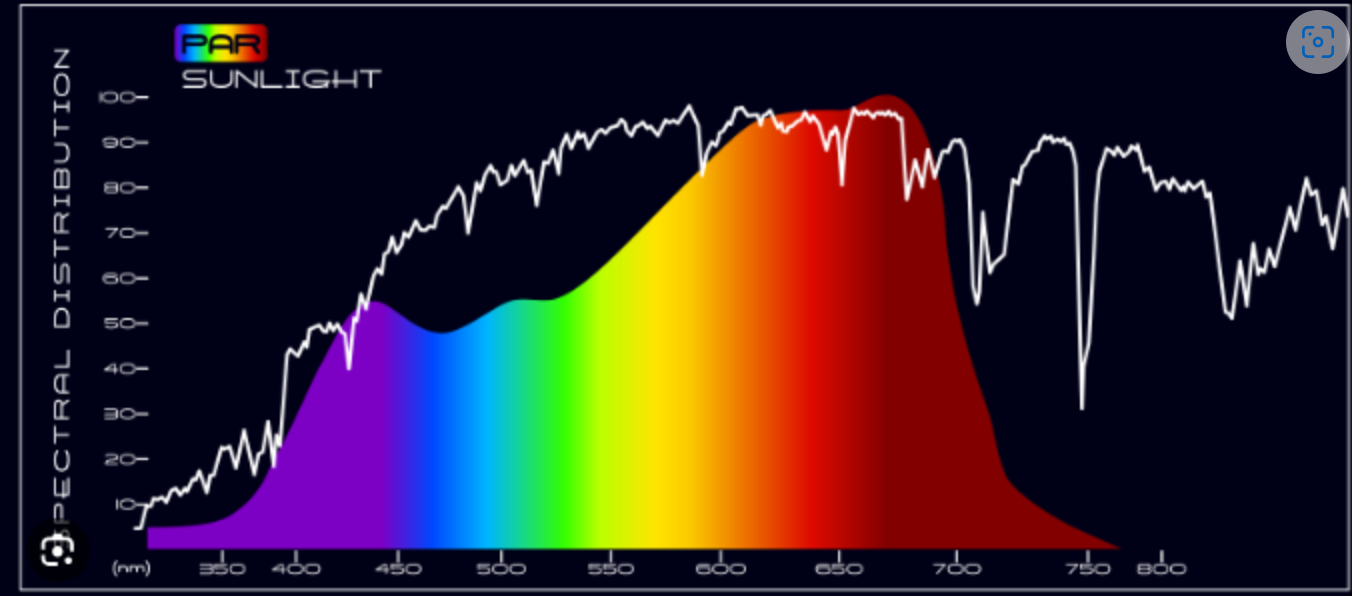테트라크로맷의 특징